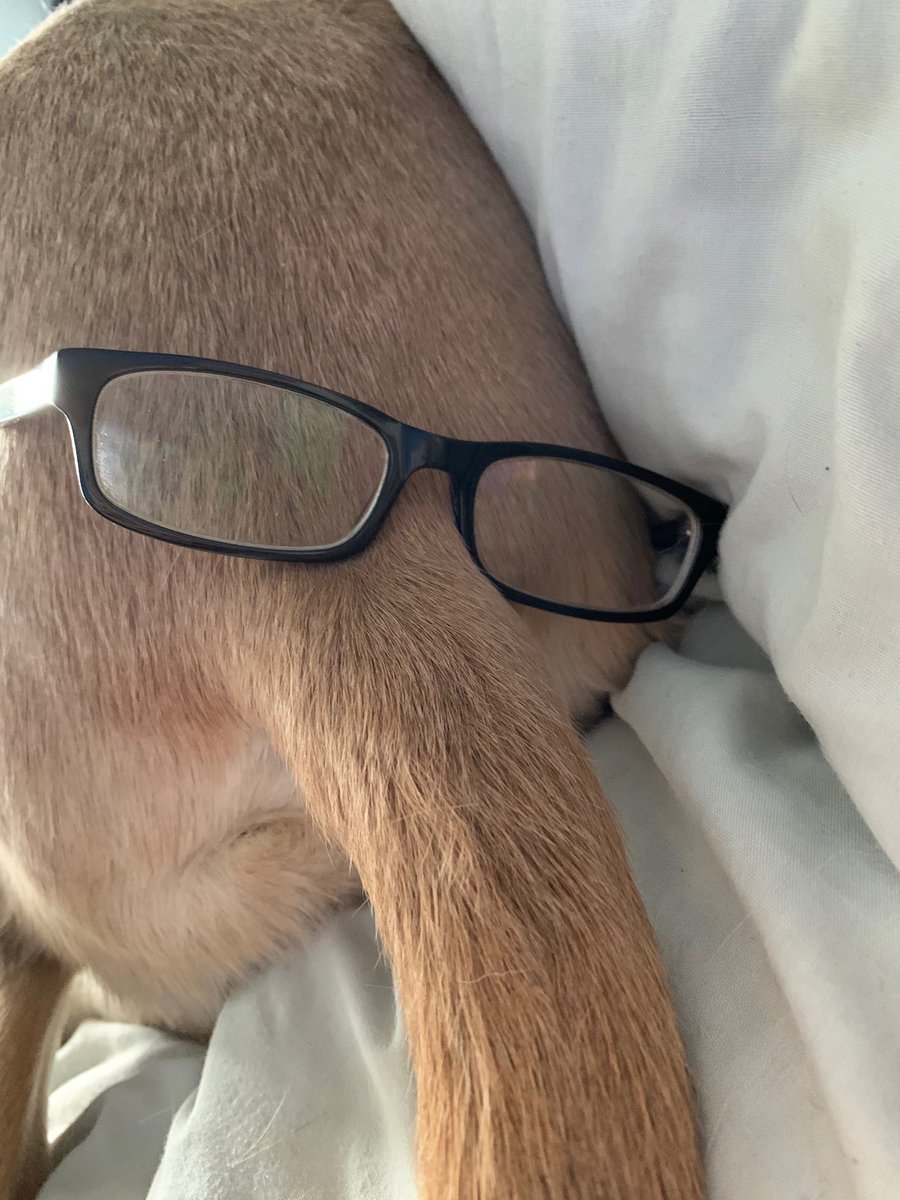 Joakim Åhlund (@ahlundjocke) on Twitter photo 