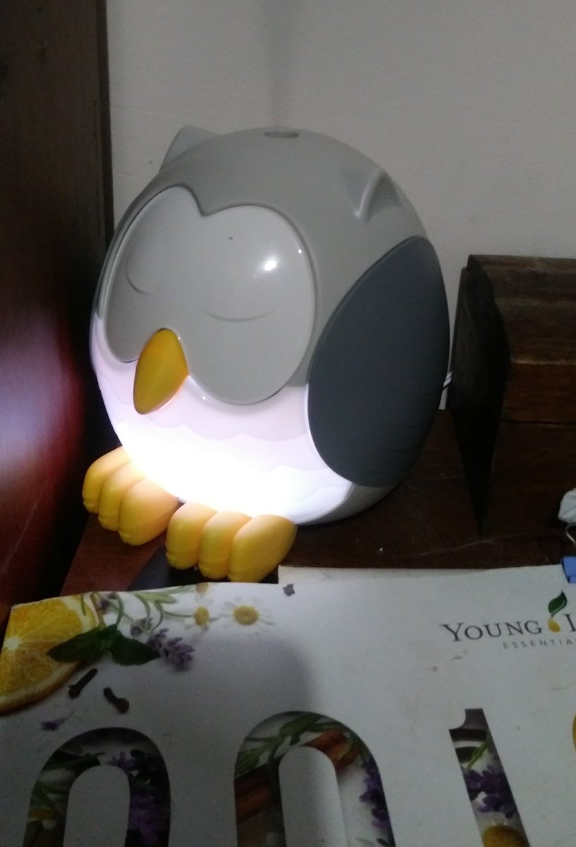 MargaritaVelaT1's tweet photo. En casa, nos tomamos en serio el autocuidado y esparcimos diariamente en nuestros espacios de trabajo y descanso el poder de las plantas hecho aceite. Utilizamos nuestros difusores de #YoungLiving
#FeatherOwlDiffuser
#DewDropDiffuser  
#DesertMistDiffuser
#essentialoils https://t.co/kPcDf2ILyA