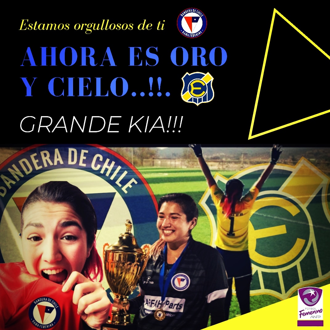 Bandera Fem tweet media