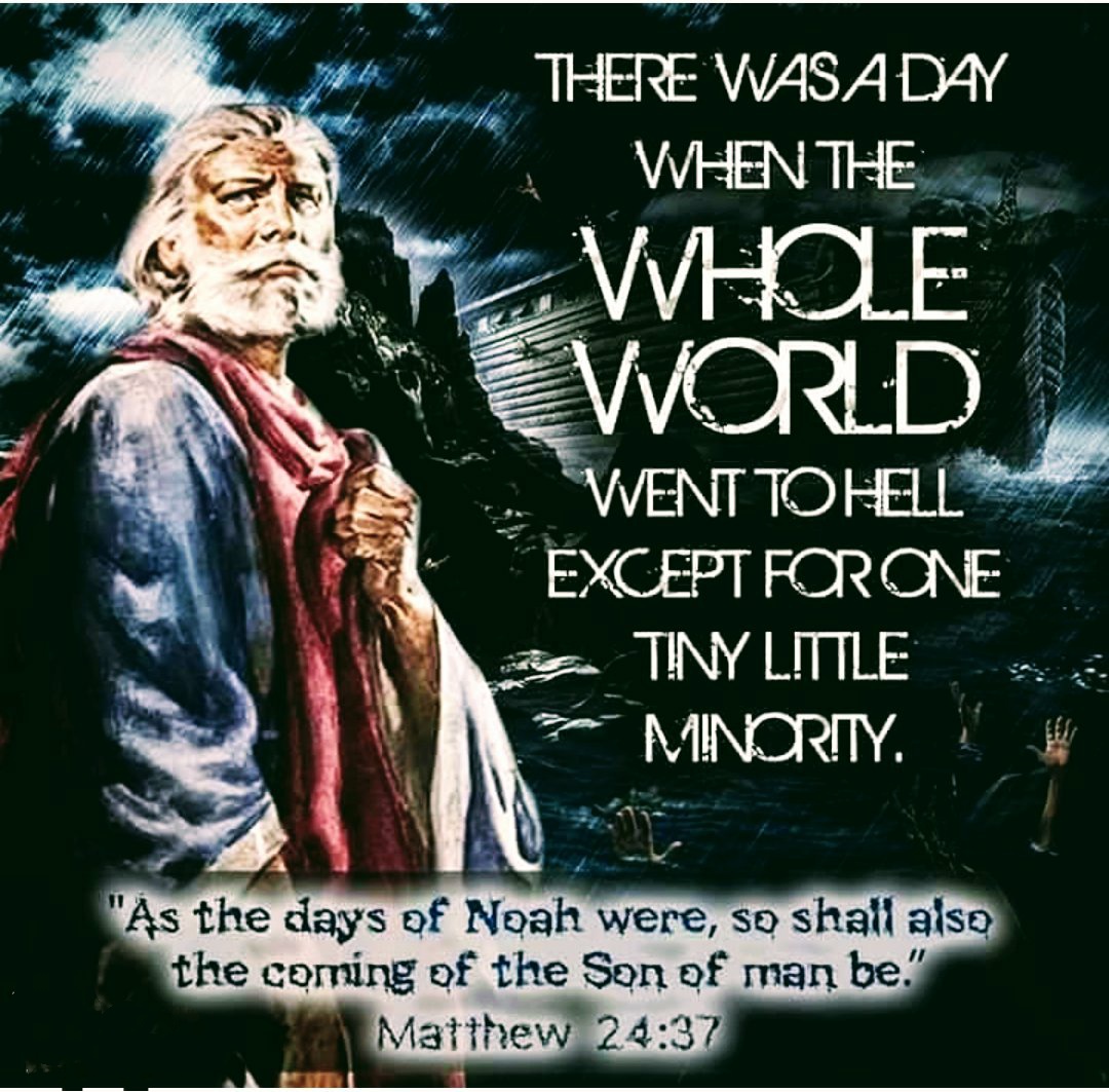 Watchman tweet media