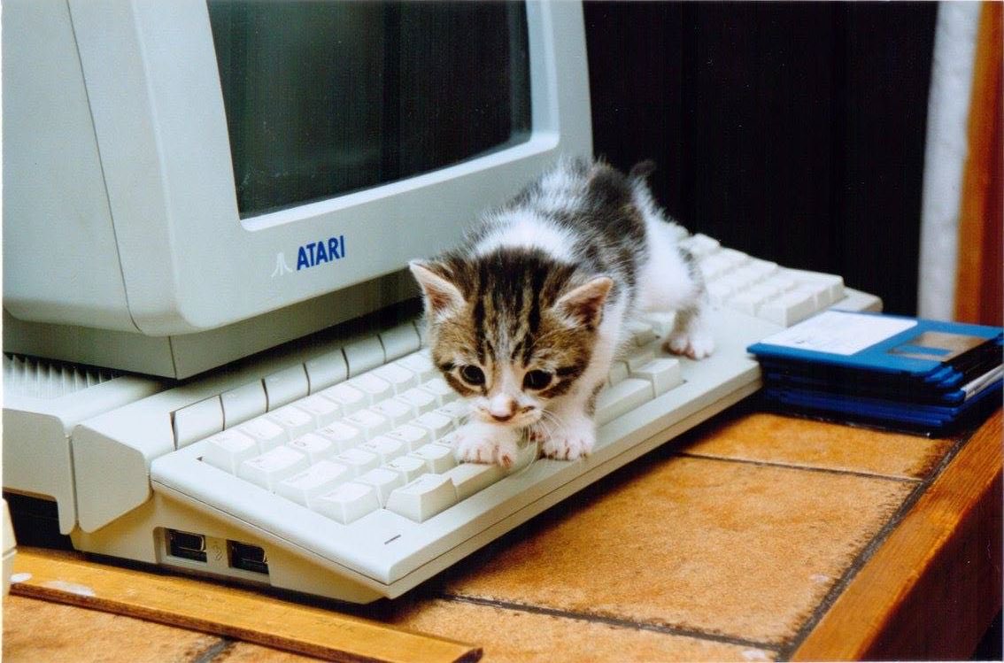 monitorcats's tweet image. 2