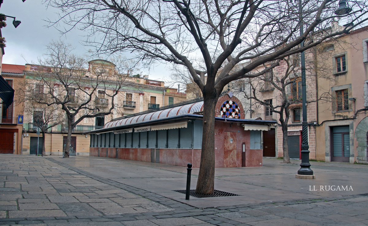 lluisrugama's tweet photo. COVID 19 PODREM AMB TU.
Avui a les 17 hores.
#ruguifoto #projectecels50 #quenoparilamaquina #fotoperiodisme #fotodecarrer #Mataró #confinatsacasa #covid19 #joambquedoacasa
@MataroNoticies @totmataro @Capgros @MataroCultural @matarocat https://t.co/J6IqFnqDOc