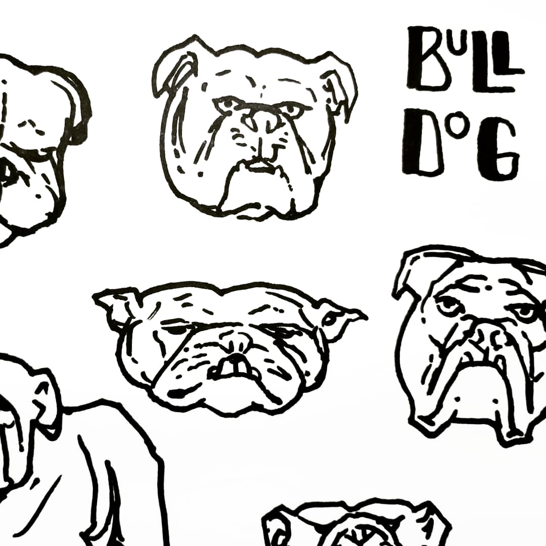 calebtcutler's tweet photo. 🐶 doodles https://t.co/DdczhEZgSC