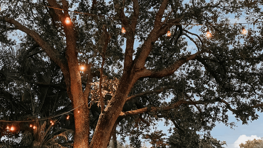 BraveBoldLife's tweet photo. How to Find Kindness Among the Chaos - Taken by surprise, a storm sweeps in on us. Some struggling more than others. On our blog we share How to Find Kindness Among the Chaos. Strength found in love. https://t.co/Cal4JGN6fn https://t.co/wFSm9r2kSn