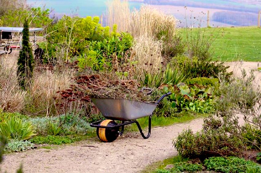 QueenMalarcher's tweet photo. Looking for an activity to get your mind off of the state of things for a bit?  Try a #SpringCutback.  

Trim back dried plant materials from last year to ensure new plant growth and perhaps avoid drain clogs!

#SaturdayThought https://t.co/JTiIfpCpaU