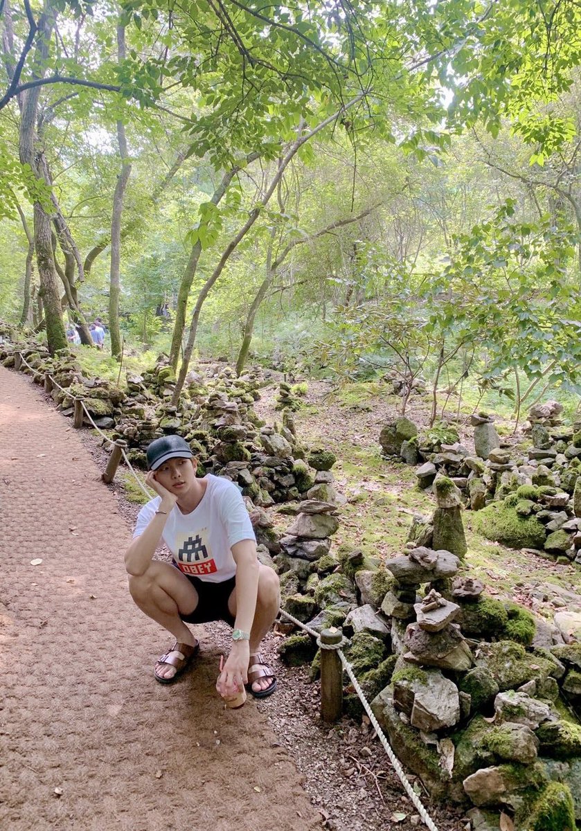 🌳