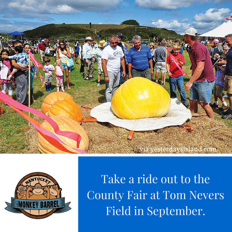 Nantucket never runs out of fun activities! Look out for more tips every week! 🤓💡 #nantucket #themonkeybarrel #38surfside #tips