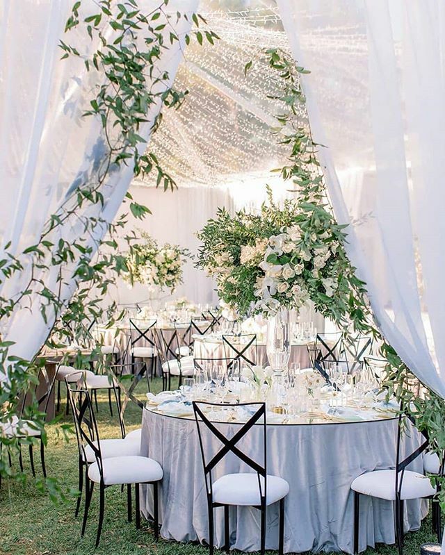 Chameleon Chair tweet media