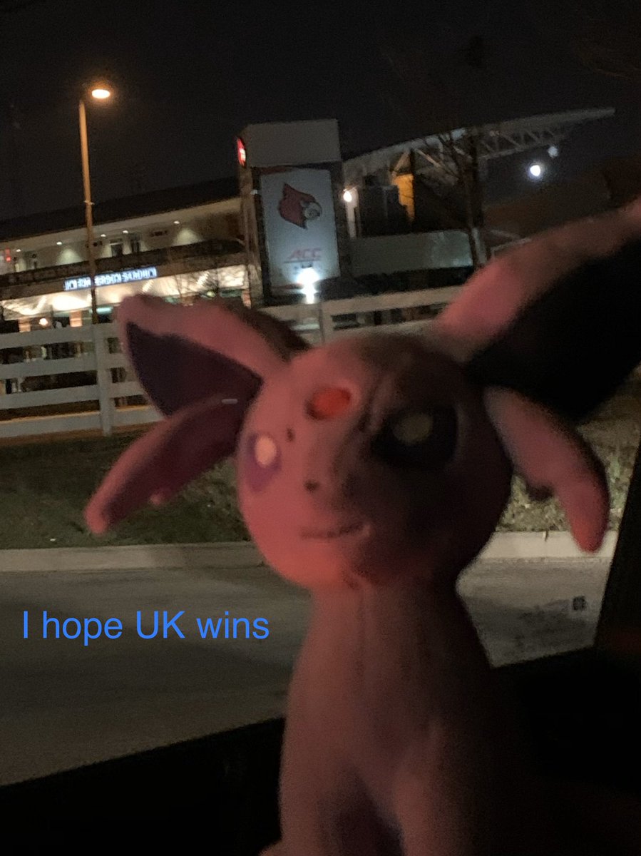 PokemonPlushie's tweet photo. Watch our own Kadie-Mon open Pokémon Cards #pokemoncards on YouTube https://t.co/almFzp890U  @pokemon @pokemon_jpn @pokemonufficiale #pokemon #pokémon #pokemonshiny #pokemonphotography #pokemontradingcardgame #pokemonsword #pokemonsun #pokemonswordshield #pokemongo #pokémongo https://t.co/9CTzOsX8sm