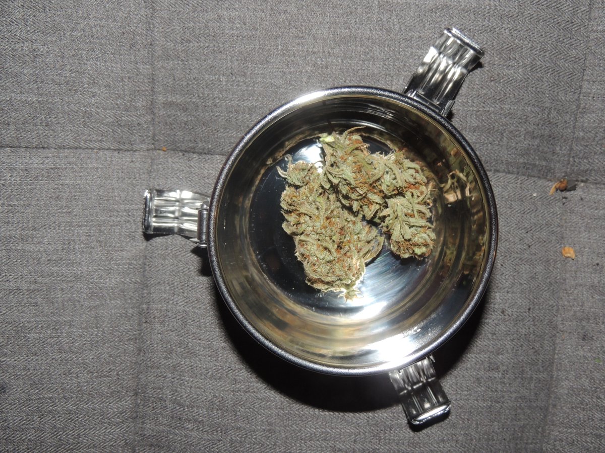 HeraldCannabis's tweet photo. It's almost time! Brewing some coffee, then taking the #BovedaChallenge! My homegrown White Widow has been curing for 2 weeks in 2 C-Vaults; one with Boveda, the other without. Here's a pic of when it went in. Unfortunately I don't have my camera right now... https://t.co/nAFqlUMGFO