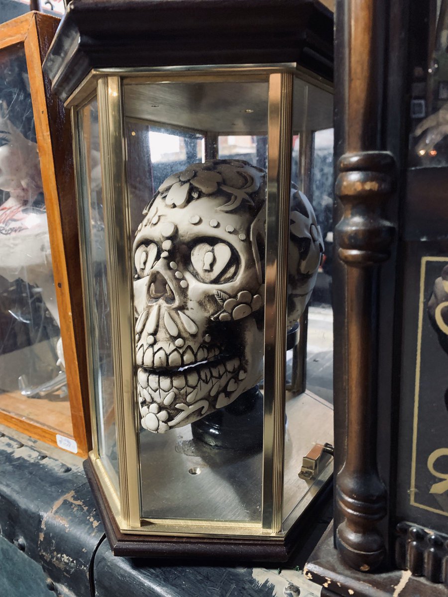 ElPasoOddities's tweet photo. Time to share some of the oddities we have available for adoption.  Adding a bit of conversation to your home decor. #strangeandunusual #oddities #elpaso https://t.co/b67zTNMKBj