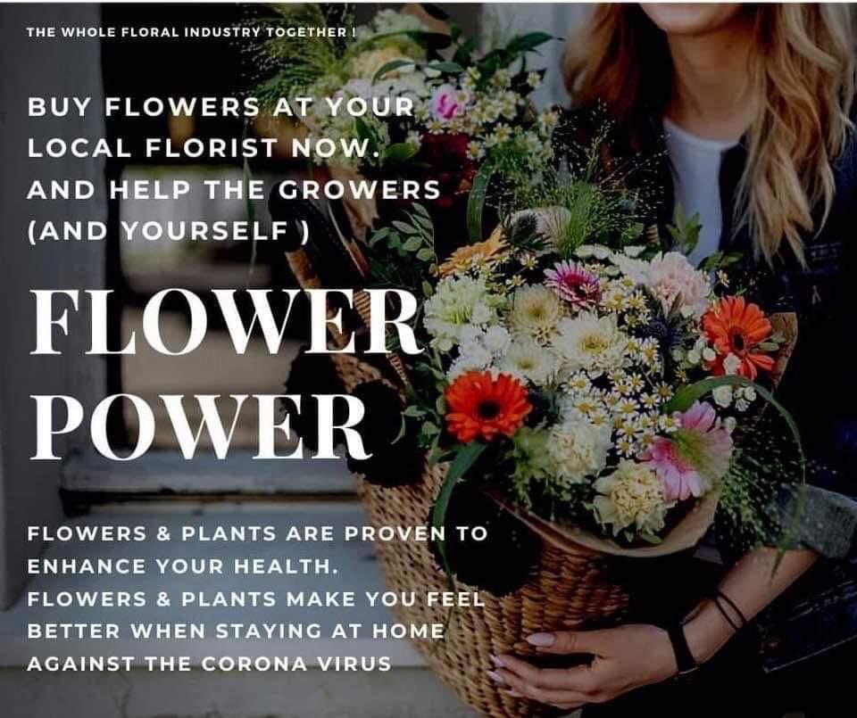 bergroses.com (@bergroses) on Twitter photo 