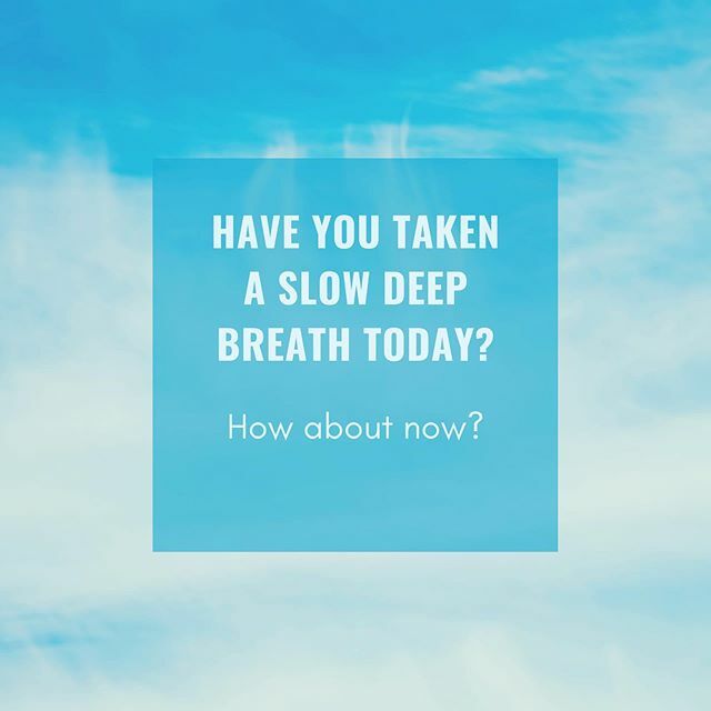 eminycreations's tweet photo. Don’t panic, just breathe 🧘🏻‍♀️🙏🏻 #youareok .
.
.
.
.
.
.
#breathe #everythingwillbeokay #dontbescared #dontpanic #takeadeepbreath #yogatips #yogainspiration #yogapractice #yogaeverydamnday #yogateacher #yogaeveryday #yogalove #meditate #meditatedaily #m… https://t.co/q7QfjaRAsy https://t.co/mMVYvUQdmZ