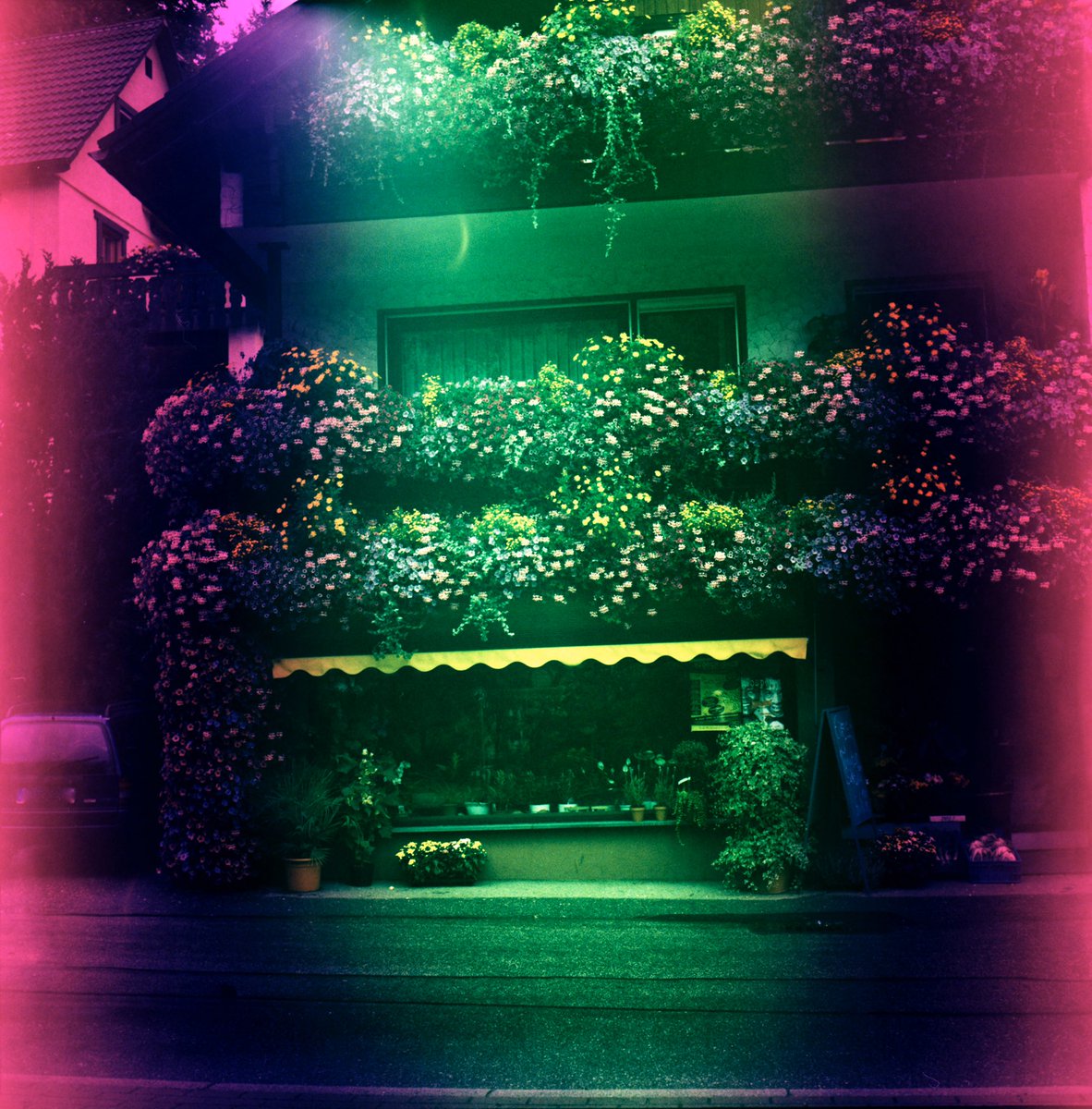 KaptistoDeLumo's tweet photo. Rainbow land

Found an old slide film in my Yashica 124, which I bought some weeks ago at a flee market. One of the pictures I could safe. Film cross processed at home with Tetenal C41 kit.#yashicamat124 #slidefilm #lomography #homeprocessedfilm #c41 #inlovewithphotography https://t.co/hyh2JJkZRW