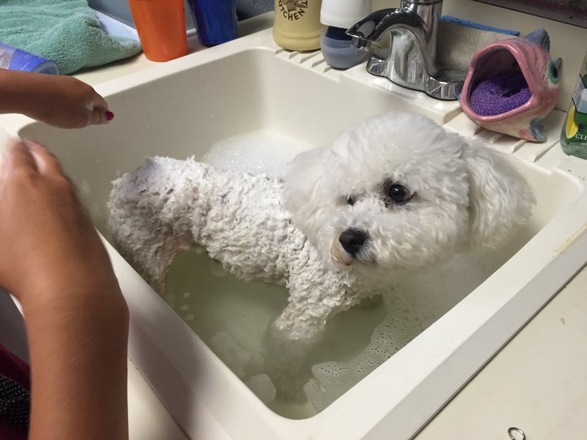 Handwashing is important, but it can dry out your hands....or mess up your fur