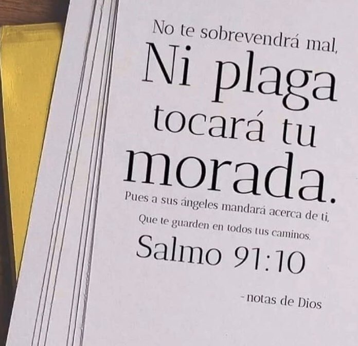 OyM_dtD's tweet photo. 📬
💌 #Ref_ #Fe_🎡
📖#LibroSalmos 91:10
✍️🤴David de cuya descendencia viene nuestro #SeñorySalvador personal
📸📝@lalirape1818
🧐🧐RT⤵️
📖#MensajeHebreos 1:11 https://t.co/jGEXA2jo9O
