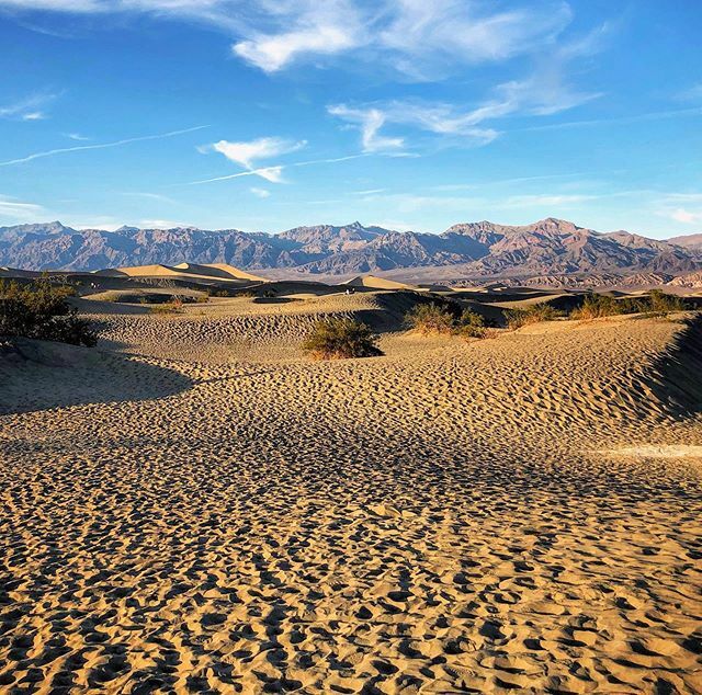 JefferyChen's tweet photo. Wishing I was out there trekking in the dessert. That was a fun trip while it lasted. 🌵🐫👌 .
.
. .
.
#travellife #nature_perfection #bestvacations #world #fantastic #wishlist #thebestshooter #natgeoru #mustsee #instatravel#funtime #worlderlust #beautifuldestinations #wonderf… https://t.co/mlVIzIF75V