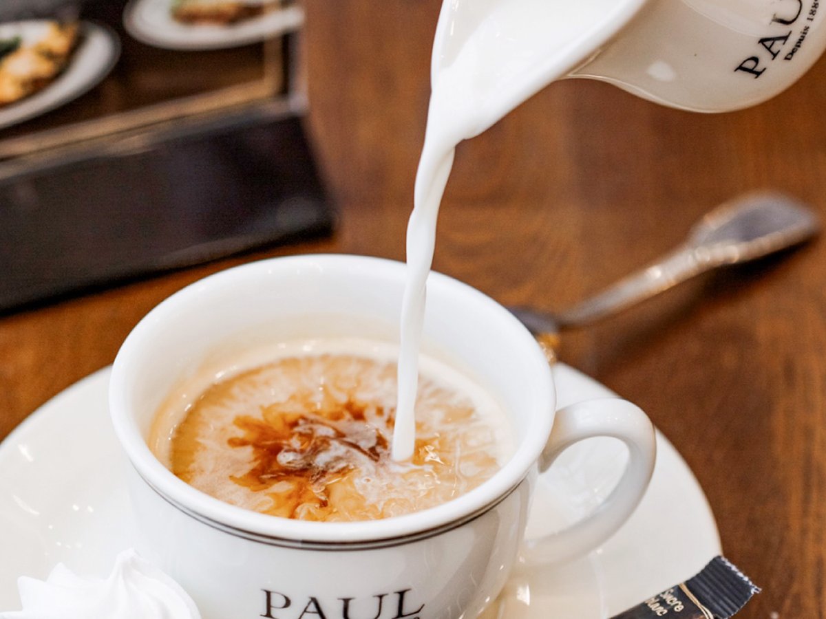 PAUL_BakeryDMV's tweet photo. Take life one cup at a time. 🙂
#caffeineplease #lavazzacoffee #dccafe #bostoncafe https://t.co/vHNbeOEnW4