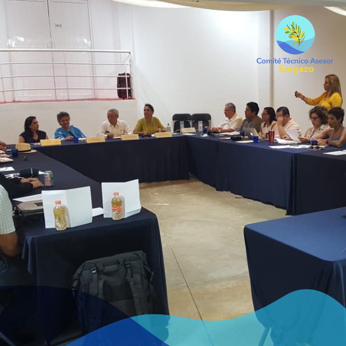 CTASargazo's tweet photo. Reunión con miembros del Comité Técnico Asesor de Sargazo y la senadora Beatriz Paredes, presidenta de la Comisión de Ciencia y Tecnología del Senado de la República. Compartimos informe de acciones y resultados, además de compromisos para la contención del sargazo en el estado. https://t.co/04EY63vEe3