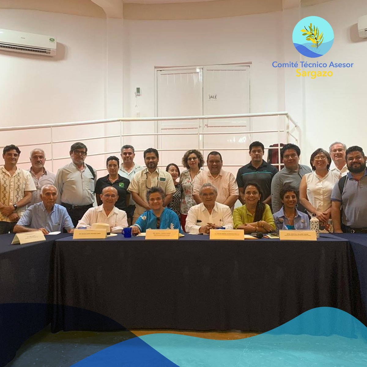 CTASargazo's tweet photo. Reunión con miembros del Comité Técnico Asesor de Sargazo y la senadora Beatriz Paredes, presidenta de la Comisión de Ciencia y Tecnología del Senado de la República. Compartimos informe de acciones y resultados, además de compromisos para la contención del sargazo en el estado. https://t.co/04EY63vEe3