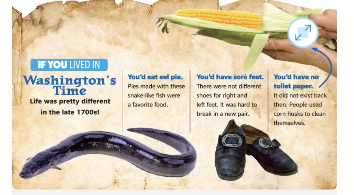 Isabella Vandayar tweet media