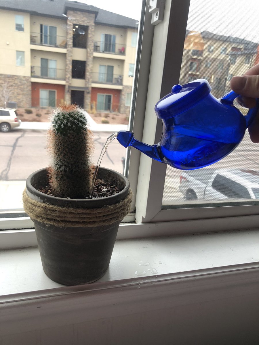 watering ur plant during a viral pandemic