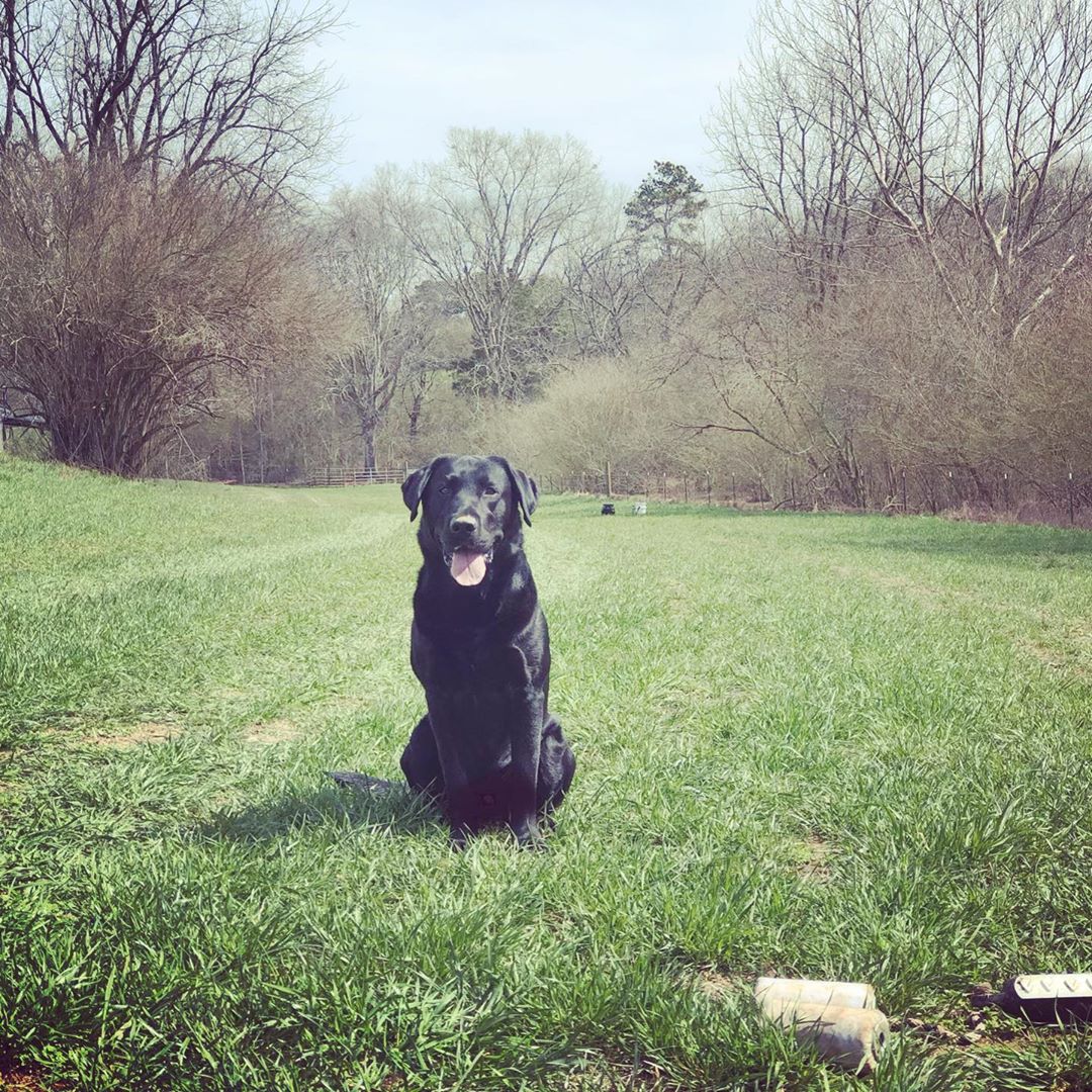 Cindergear's tweet photo. @bisi03 Sunny training days. https://t.co/4nreVWKsMl