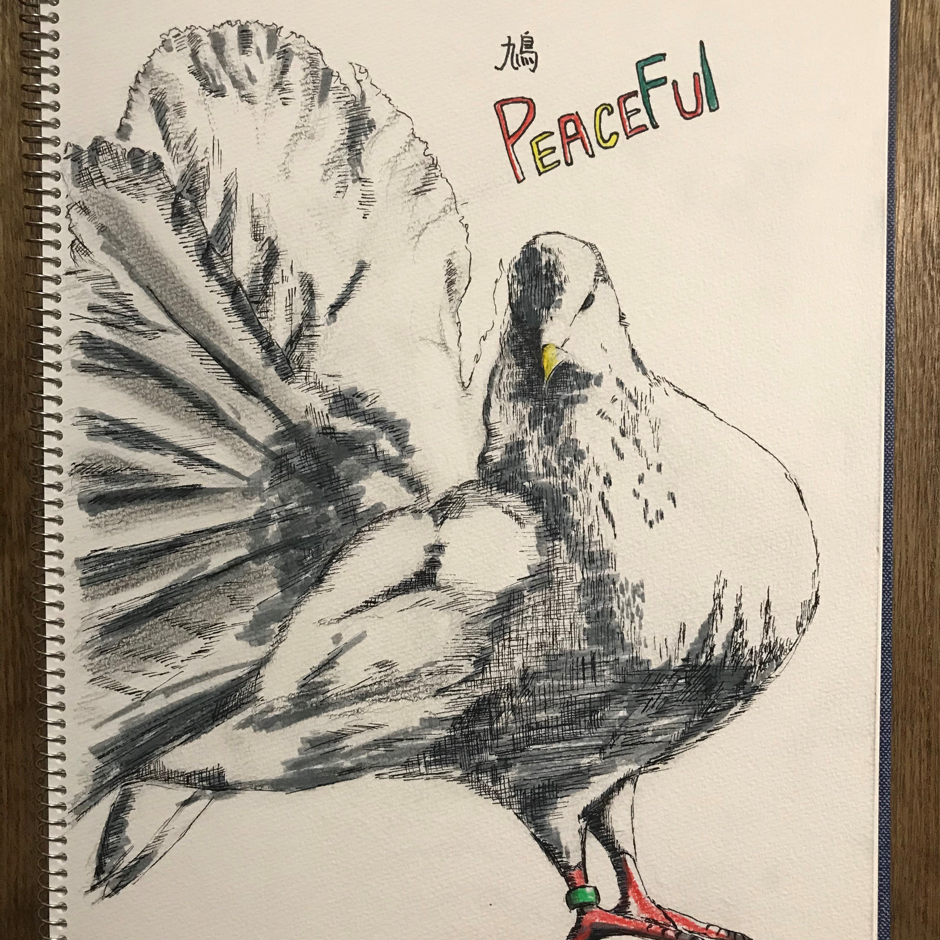 ちょーすけ 久々絵を描いた 鳩 平和の象徴 Peace Dove Pencil Pencildrawing Pencilart Brushpen Brushpenart Pen Penart 鉛筆画 筆ペン イラスト Art アート 絵描きの輪 絵描きさんと繋がりたい 平和 T Co Q0xl50lnwq Twitter