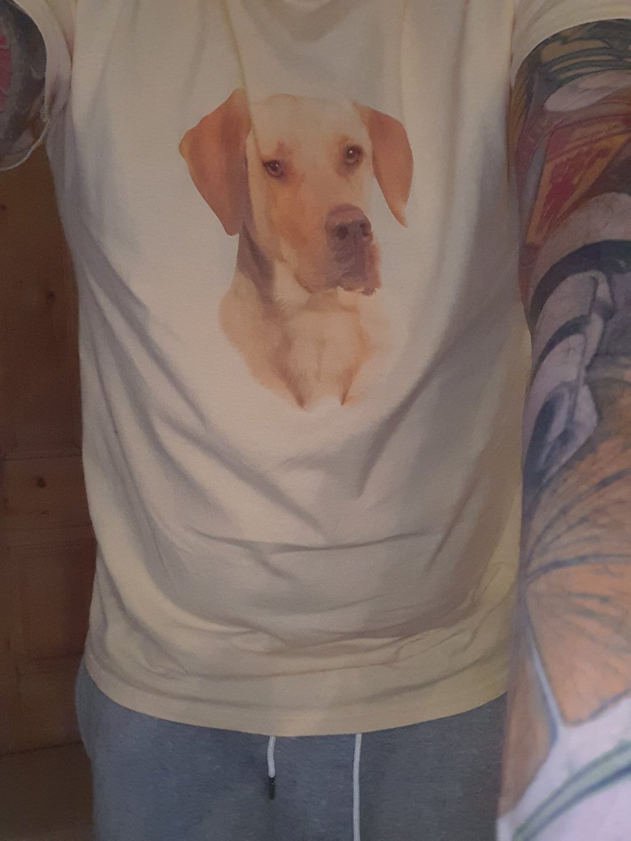 Pooball🟤 tweet media