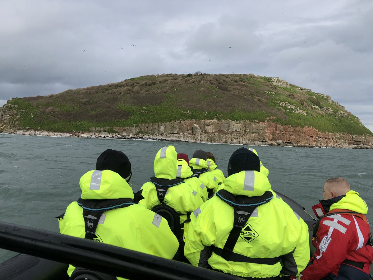 Black Scorpion trip today. Exploring wild wales the right way!, join us on our award winning, Carbon Neutral boat trips. seacoastsafaris.co.uk

#Anglesey #NorthWales #MenaiStrait #VisitWales <a href="/Wildlife/">wildlife</a> #PuffinIsland <a href="/humberribs/">Humber Ribs</a> <a href="/mercurymarine/">MercuryMarine</a>