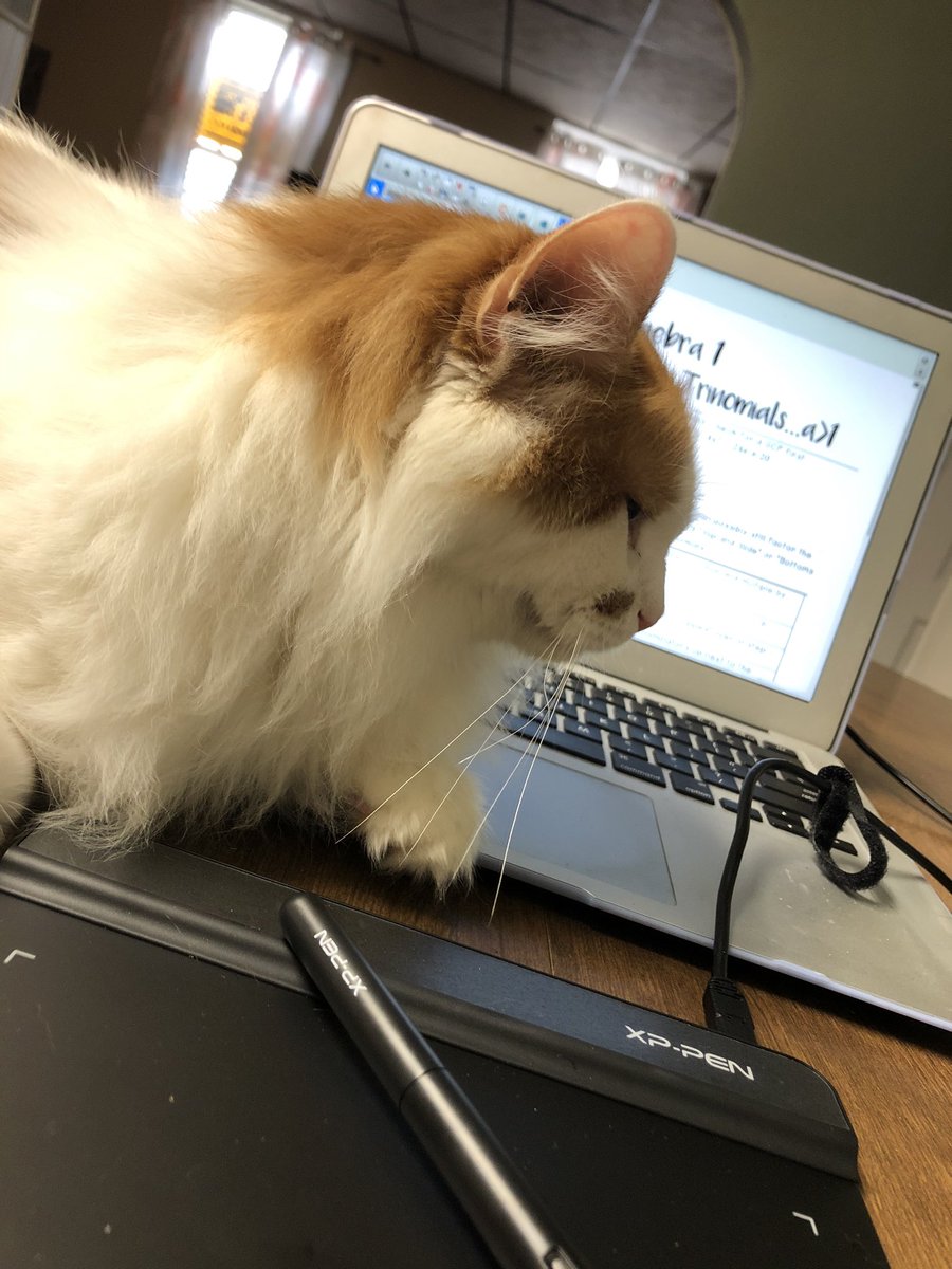 missbarrmath's tweet photo. Happy Pi Day! 

Working on lessons and trying to adapt to writing on a 4x6 inch tablet for your recorded lessons! 

Plus something won’t stay off the table (don’t tell my fiancé 🤫)

#PiDay2020 https://t.co/PhOD56xVbr