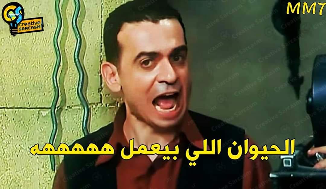 دكاتره الجامعات وهما بيشرحوا المحاضره لايف ع الفيس :