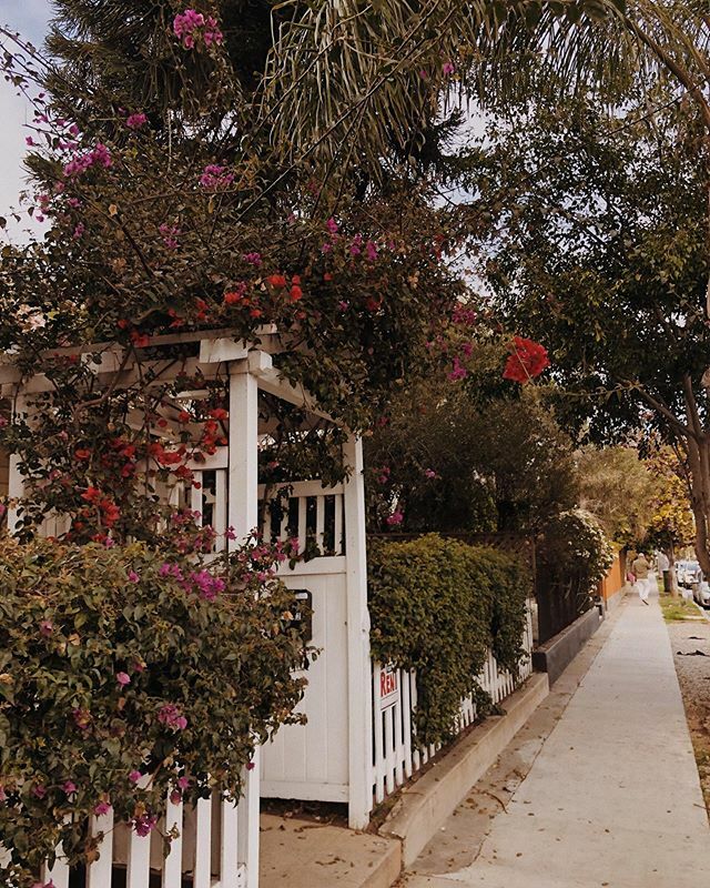 heleneisfor's tweet photo. Brb moving to Venice 🏄🏼‍♀️ https://t.co/HB8H3FtxVJ https://t.co/xO7ewh4obU