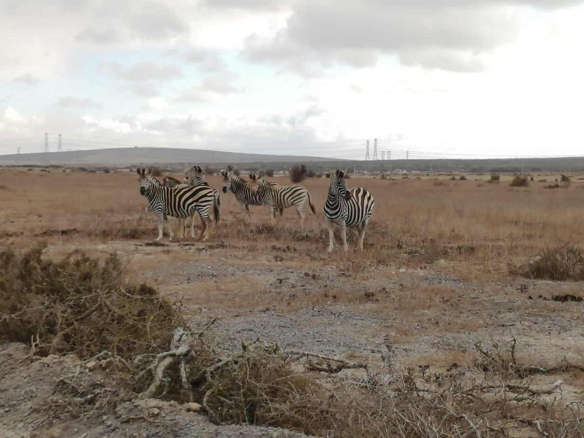 West Coast Youth Orchestra Annual Camp at Wasklip Langebaan :)
<a href="/WCY_Orchestra/">WC Youth Orchestra</a> #WCYO #westcoastyouthorchestra #waskliplangebaan #orchestra