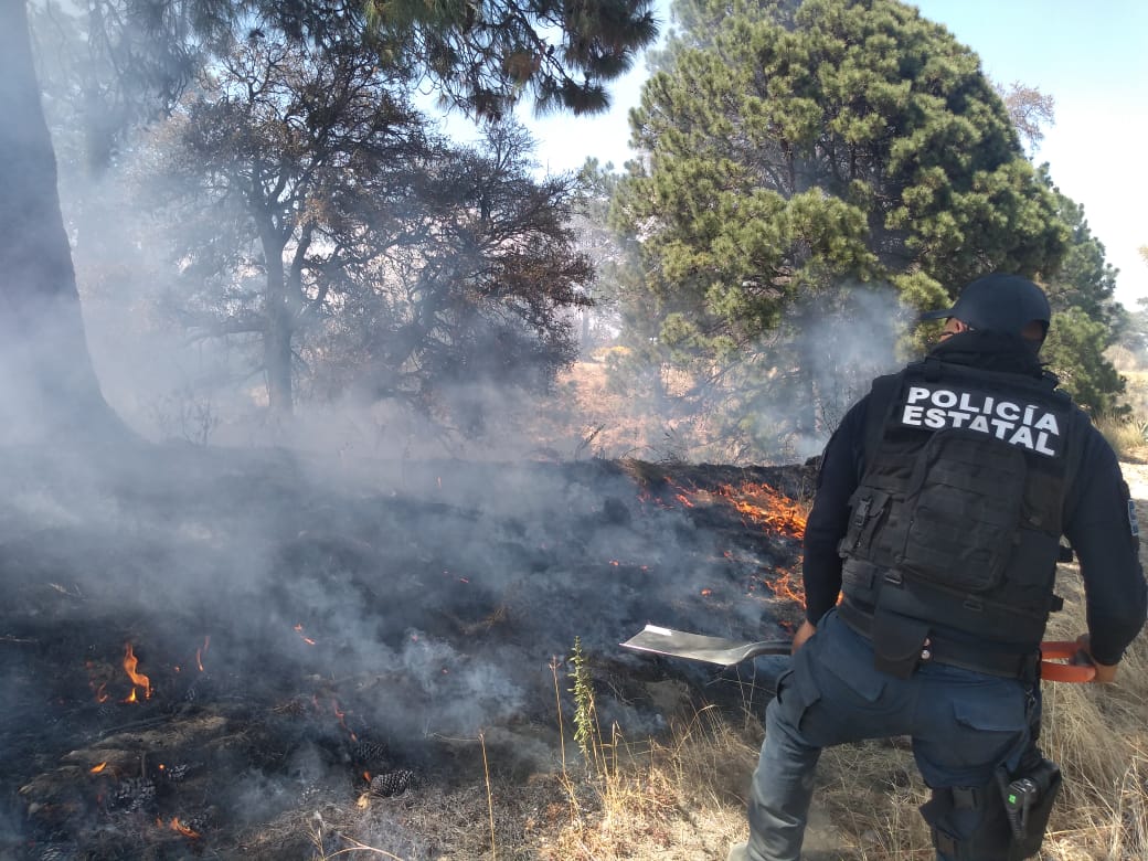 PoliciaSsc's tweet photo. La Policía de Montaña de la #SSCTLX al realizar recorrido se Seguridad y Vigulancia en el paraje de "Las Mesas" localiza un incendio de quema controlada tras entrevistarse con el propietario del terreno, le proporcionan recomendaciones de seguridad.
#PorUnTlaxcalaSeguro https://t.co/A0uXLAFEef