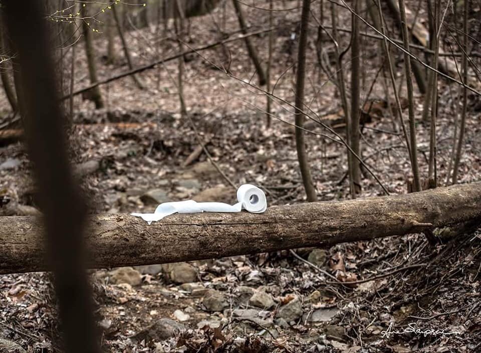 LisaWollerWhit's tweet photo. I was super excited to get these shots.They're thought to be nearly extinct.Overhunting has had the biggest impact on their numbers.They like to travel in packs of 2,4,6,8 so seeing this one out solo says something about how seriously they've been affected.Just glad I had my lens https://t.co/yzukie1Acv