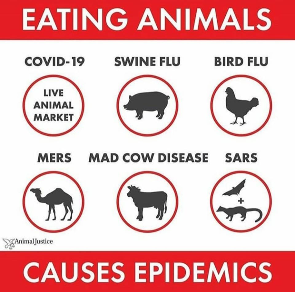 Eating animals causes epidemics. Sorry you don't want to hear it/see it but it's true. #COVID19