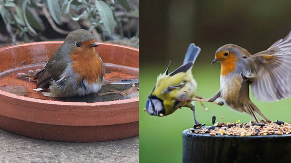 WASH FREQUENT. MANTAIN SOCIAL DISTANCE.