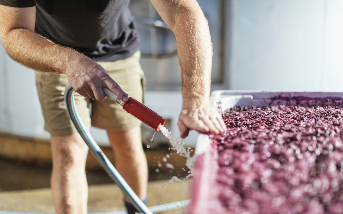 MtLangiGhiran's tweet photo. Attention to detail is put into every step of our winemaking process, including the careful maintenance and cleaning of all our equipment. 

📸 Wine Australia https://t.co/RxzOI8R9PP
