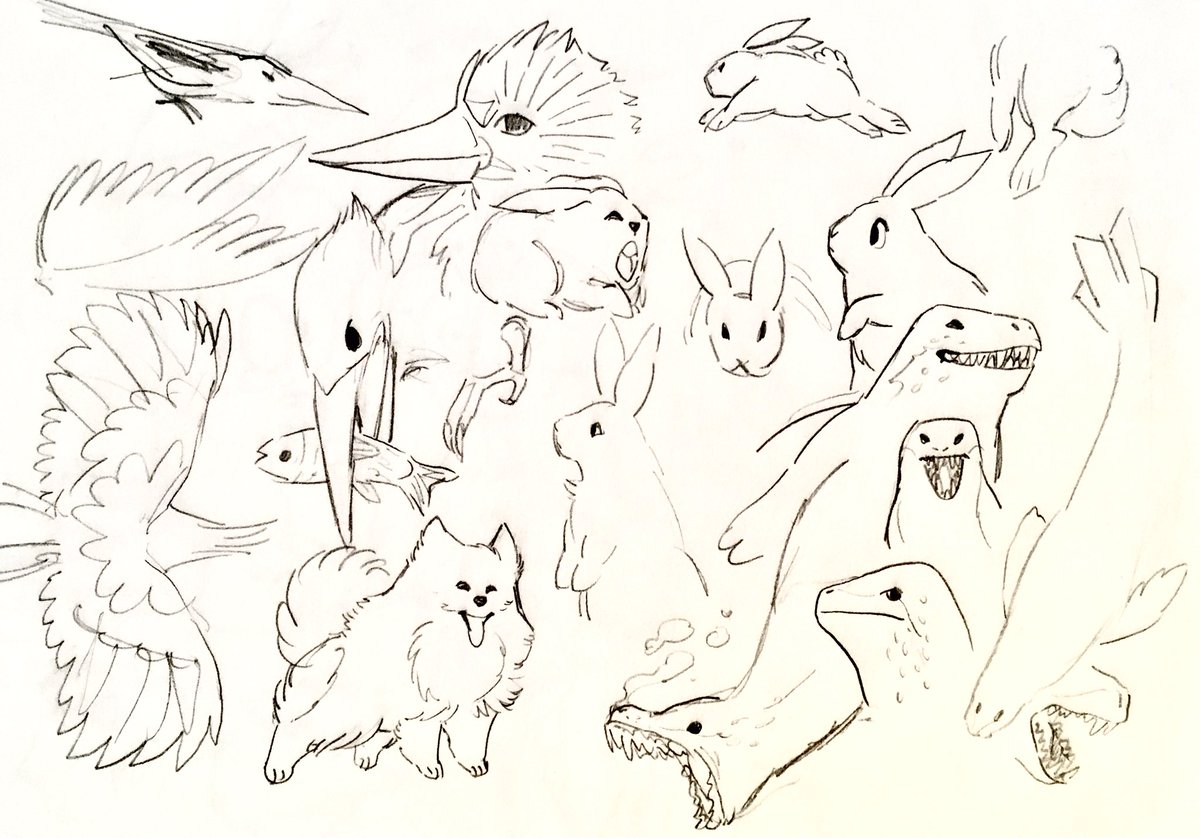 animal time 
