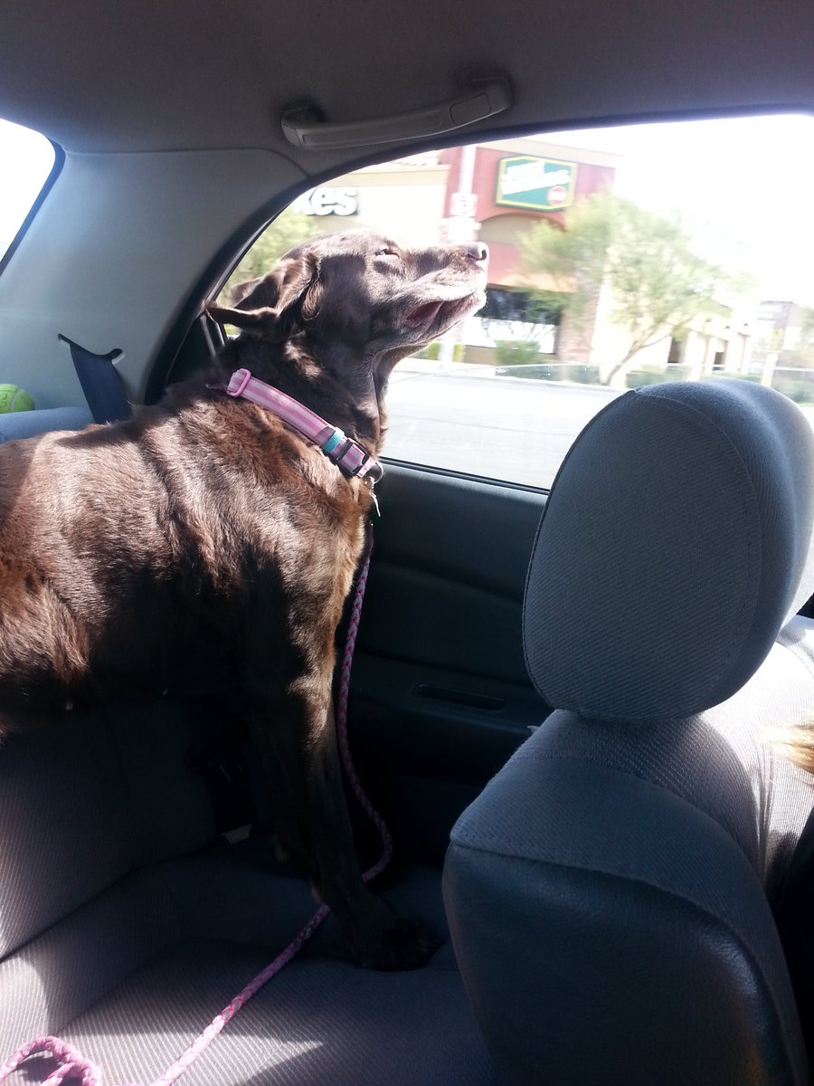 PotControl420's tweet image. The Toots