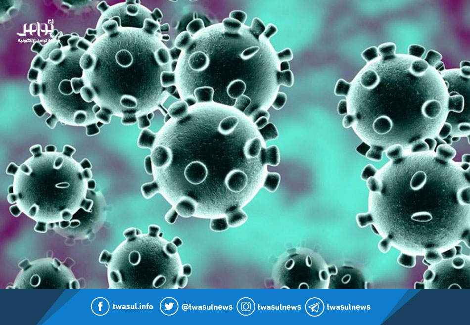 صحيفة تواصل 5 أطعمة تساعد على الوقاية من فيروس كورونا