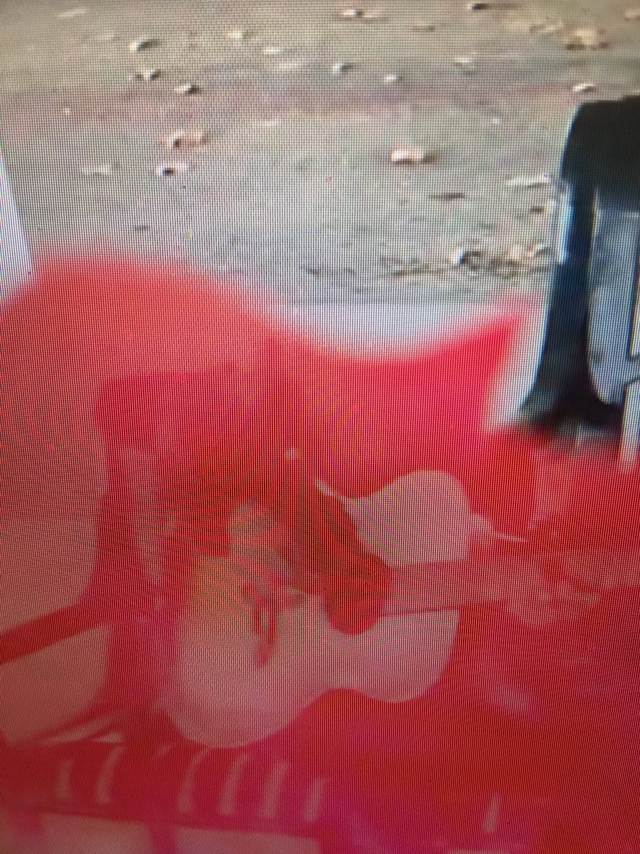 Unda Fluxit tweet media