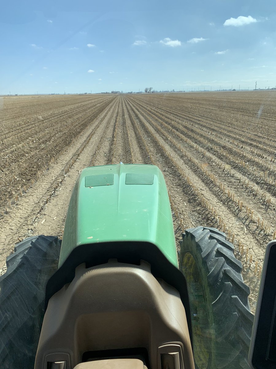 marcarnusch's tweet photo. In an over-abundance of caution, I’m doing my part in social distancing myself while planting beer and whiskey seeds today. 

Let get through this March Madness-less and try a great Craft Beer or Craft Whiskey
Stay thirsty my friends

#YourBeerStartsHere #plant2020
#ArnuschFarms https://t.co/hAQBj6RXvz
