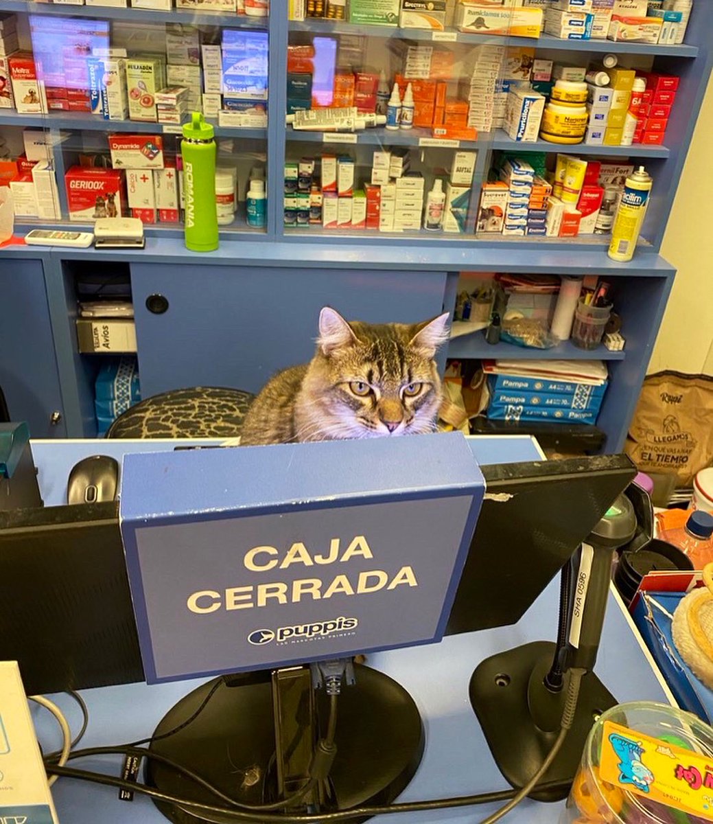 📷: <a href="/ManuelBelen95/">Manuel</a>