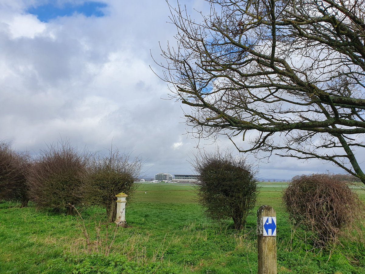 MichelleBull4's tweet photo. Escaped from my seven days of social isolation today with a short walk on the downs - really hoping that's the end of the lurgy as it wasn't much fun at all 🤒😱 #getoutside #beautifulasever #lovewhereilive #FlattenTheCurve https://t.co/NAb6lcgIIk
