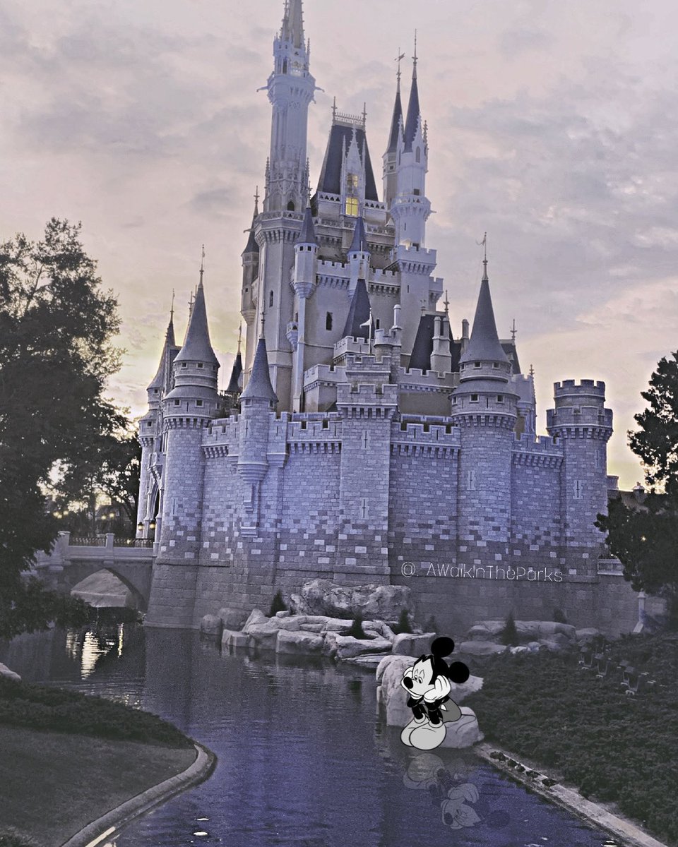 AWITParks's tweet photo. Don’t worry Mickey, we’ll see ya real soon 💛

#wdw #WaltDisneyWorld #COVIDー19 #COVID19 #DisneylandPark #DisneylandParis #disneyparks #coronavirus #MickeyMouse #ukdisneyblog #ukdisneyblogger #shopdisney @WaltDisneyWorld @WDWNT @LRDreaming https://t.co/emzJNr2okG