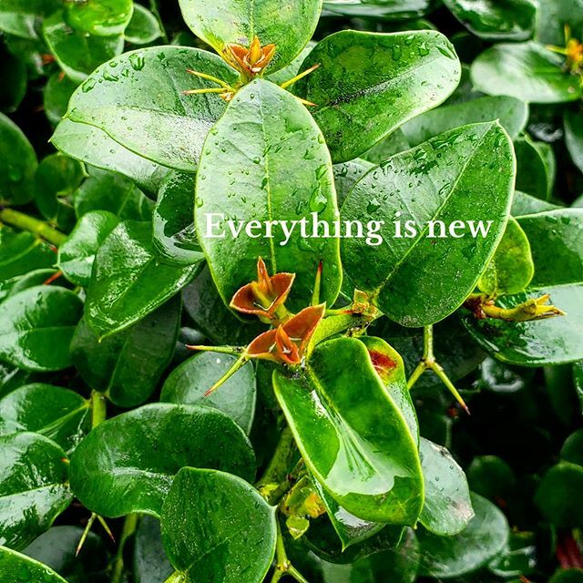 TimsTravelDiary's tweet photo. Everything is new. If you look at every moment as a new, regardless of how many times you've said those words or taken that action, the world looks a lot more beautiful and peaceful.

We're all figuring things out, one day at a time, no matter how old yo… https://t.co/aRyF4Rhj6T https://t.co/xrVzwfAfuv