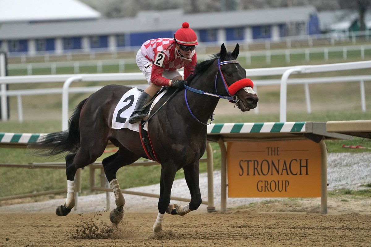 LaurelPark's tweet photo. #Lebda wins the $100,000 Private Term Stakes! #MJC https://t.co/85sgfPVDJB