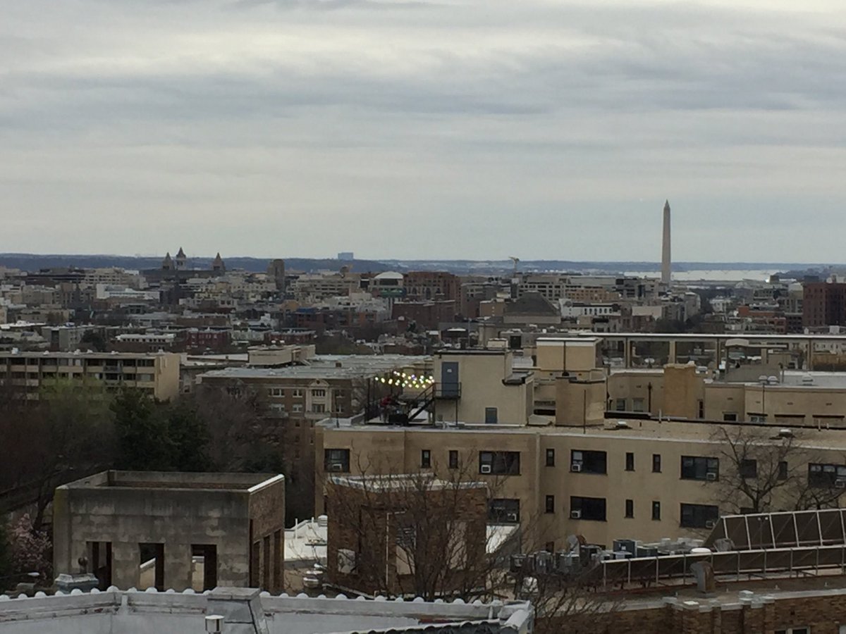 Quiet afternoon on my daughter’s rooftop in Washington. Back to work Monday.